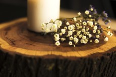 minibanner-2